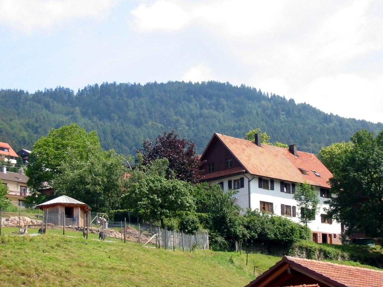 제바흐 Schnurrenhof 아파트 외부 사진